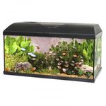 Akvárium Szett+Szűrő+Fűtő Pacific Eco Light 54l, 60x30x30cm fotó