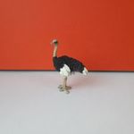 Eredeti Schleich strucc madár állatfigura ! 11x8cm ! 2014-es kiadás ! Schleich 14744 fotó