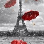 Ingyen posta, kész kép feszítőkeretben, vászonkép, Párizs, Eiffel torony, tél, esernyők fotó