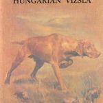 The hungarian vizsla fotó