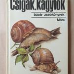 Krolopp, Lexa - Csigák, kagylók (Búvár zsebkönyvek) -T03a fotó