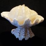 Kagyló gyertyatartó kagyló alakú gyertyával fotó