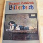 Hermann Kaulbach: Bilderbuch képeskönyv DTV Junior - német nyelvű - fotó