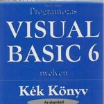 Programozás Visual Basic 6 nyelven fotó