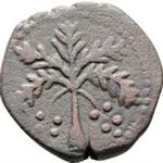 Szicília, Messina 1166-1189 Trifollaro, Guglielmo II, olasz államok fotó