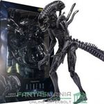 000 10cmes Aliens figura - Xenomorph / Xeno Alien Warrior figura - AVPR: Aliens vs Predator Requem H fotó