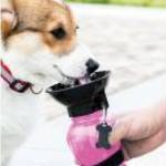 Hordozható kutya itató palack, rózsaszín fotó