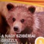 A Nagy Szibéria Grizzly DVD (1997) 2008 (jogtiszta) Magyar szinkron (szinte karcmentes) fotó