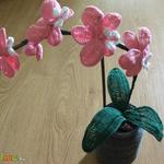 horgolt orchidea fotó