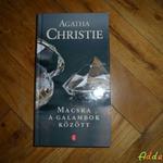 Agatha Christie: Macska a galambok között fotó