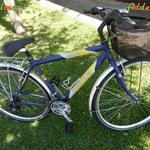 Gepida Alboin Comfort 28-as Férfi kerékpár fotó