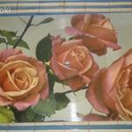 Képeslap bakelit lemezjátszón lejátszható rózsaszín rózsák Bódy József régi hangos képeslap Colorvox fotó