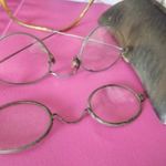 Fém szemüveg tok és szemüveg 1920-es évek végéről tulajdonosi címkével + egy szár nélküli szemüveg fotó