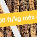 1/2 NB és NB méhcsaládok eladók. 20kg méz vagy 20eFt. Házhozszállítás kérhető. Szeged. 06207705500 fotó