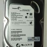 Seagate 250GB HDD merevlemez SATA 100/100 #YQFG fotó