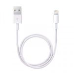 Apple Lightning - USB konverter kábel 0.5 m (ME291ZM/A) (ME291ZM/A) fotó