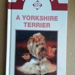 A Yorkshire terrier fotó