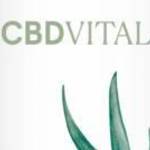 CBDVital Arthro COOL hűsítő balzsam 500 mg CBD-vel fotó