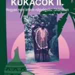 Steve Boateng: Pálmabor és kukacok II. - Avagy miért nem lettem nőgyógyász Ghánában fotó