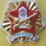 Határőr Dózsa porcelán plakett katonai emlék 24080831 fotó