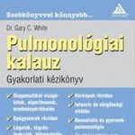 Pulmonológiai kalauz - Gyakorlati kézikönyv fotó