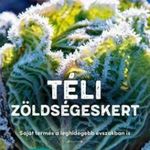 Heidi Lorey - Téli zöldségeskert fotó