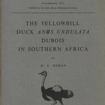 The Yellowbill Duck Anas Undulata Dubois in Southern Africa (A sárgacsőrű réce Dél-Afrikában) fotó