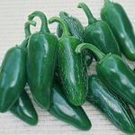 Jalapeno Early chili paprika mag, vetőmag, 20db vetőmag fotó