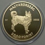 Mudi, 2022, Magyar pàsztor ès vadàszkutya fajtàk IV.rèsze 2000ft fotó