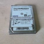 Samsung HM100JI 100GB SATA laptop HDD merevlemez winchester fotó