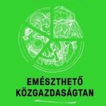 HA-JOON, CHANG - Emészthető közgazdaságtan fotó