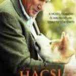 Hacsi- A leghűségesebb barát (2009)-eredeti dvd-bontatlan! fotó