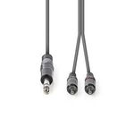 Nedis JACK - RCA Sztereó audiokábel 3.0m (6.35mm jack apa - 2xRCA apa) Szürke (COTH23300GY30) fotó