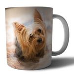 Yorkshire terrier 2 mintás porcelán bögre fotó