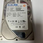 ExcelStor 250GB HDD fotó