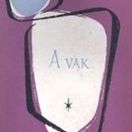 Walter Jens: A vak fotó