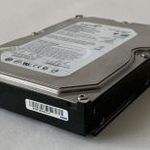 Seagate Barracuda 7200.10, 320 GB SATA merevlemez (3, 5") fotó