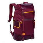 RivaCase Dijon 17.3" Notebook és Túra hátizsák - Bordó (5361 BURGUNDY RED) fotó