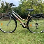 Schwinn Ambition Trek RV21 -es női kerékpár fotó