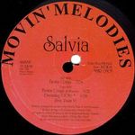 Salvia - Fiesta Conga (12") fotó