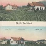 Révfülöp villák 1914 fotó