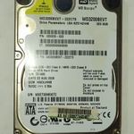 WD Western Digital 320GB laptop / notebook HDD merevlemez SATA 100/100 #9072 fotó