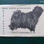 Kártyanaptár, 1970. Mezei András pulitenyészete, Mezei Kennel - Üllő. Magánkiadású szoci naptár! fotó