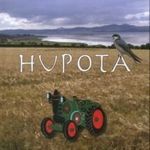 Hupota hihetetlen kalandjai erdőn-mezőn - HIHETETLEN KALANDJAI ERDŐN-MEZŐN Csondor Kata fotó