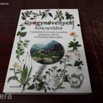 Gyógynövények kincsestára (A gyógyhatású növények azonosítása, gyógyászati, étkezési és kozmetikai f fotó