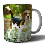 Beagle mintás porcelán bögre fotó