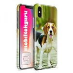 Beagle Samsung Galaxy S10 Plus telefontok tok hátlap 1 fotó