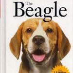 The Beagle fotó