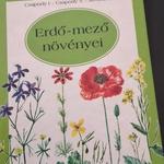 Erdő- mező növényei fotó