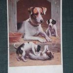 Képeslap, artist, művészet, állatok, vadász kutya , Jack Russell terrier kölykeivel, 1920- fotó